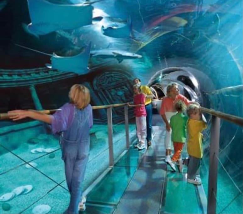 Disney Cocooning A 5 Minutes Du Parc Coupvray Eksteriør billede
